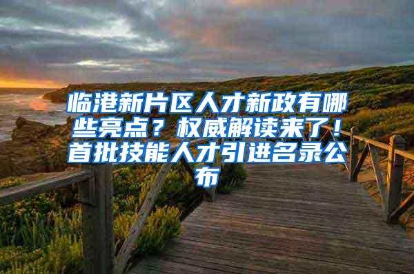 临港新片区人才新政有哪些亮点？权威解读来了！首批技能人才引进名录公布