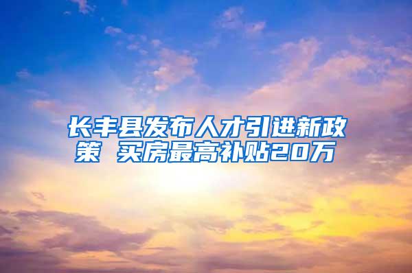 长丰县发布人才引进新政策 买房最高补贴20万