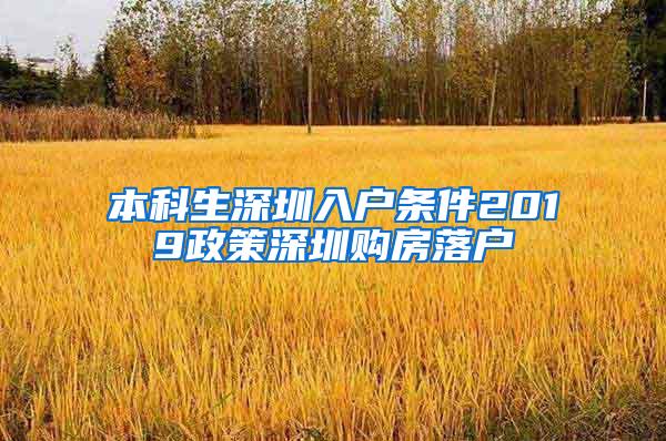 本科生深圳入户条件2019政策深圳购房落户