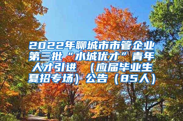 2022年聊城市市管企业第三批“水城优才”青年人才引进 （应届毕业生夏招专场）公告（85人）