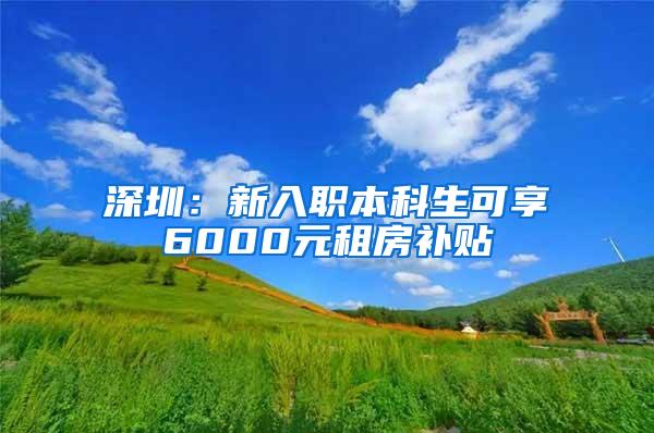 深圳：新入职本科生可享6000元租房补贴
