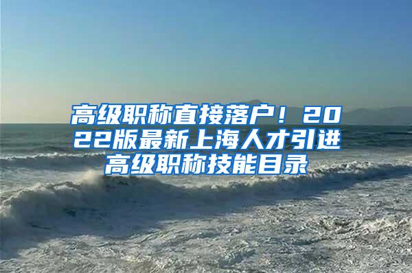 高级职称直接落户！2022版最新上海人才引进高级职称技能目录