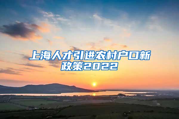 上海人才引进农村户口新政策2022