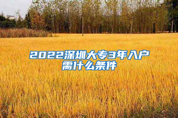 2022深圳大专3年入户需什么条件