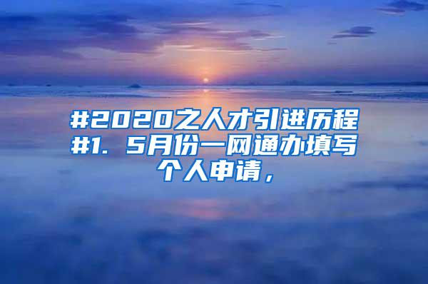 #2020之人才引进历程#1. 5月份一网通办填写个人申请，