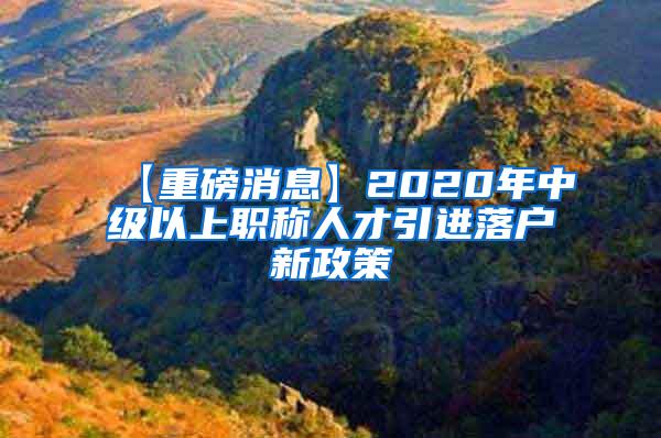 【重磅消息】2020年中级以上职称人才引进落户新政策