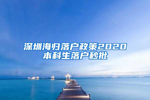 深圳海归落户政策2020本科生落户秒批