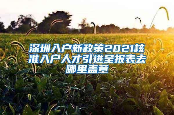 深圳入户新政策2021核准入户人才引进呈报表去哪里盖章