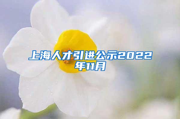 上海人才引进公示2022年11月