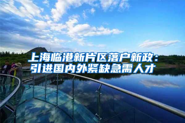 上海临港新片区落户新政：引进国内外紧缺急需人才