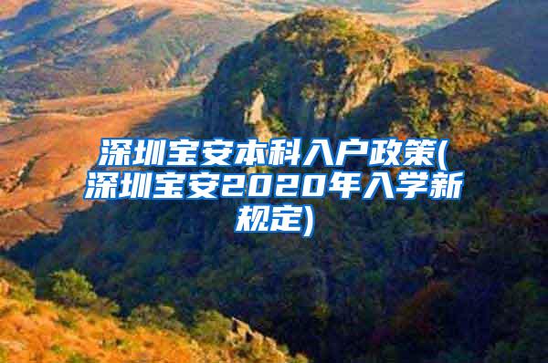 深圳宝安本科入户政策(深圳宝安2020年入学新规定)