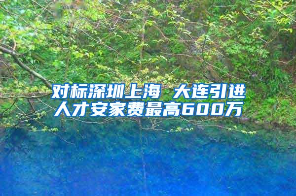 对标深圳上海 大连引进人才安家费最高600万