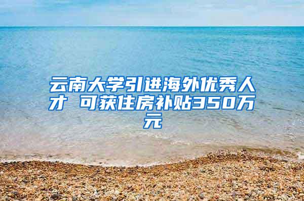 云南大学引进海外优秀人才 可获住房补贴350万元