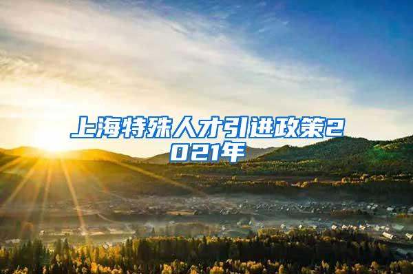 上海特殊人才引进政策2021年