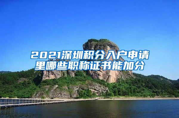 2021深圳积分入户申请里哪些职称证书能加分