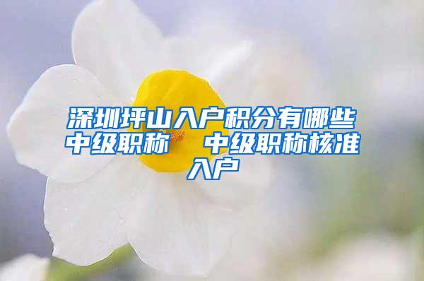 深圳坪山入户积分有哪些中级职称  中级职称核准入户