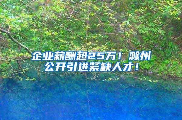 企业薪酬超25万！滁州公开引进紧缺人才！