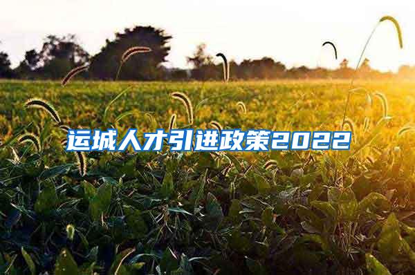 运城人才引进政策2022