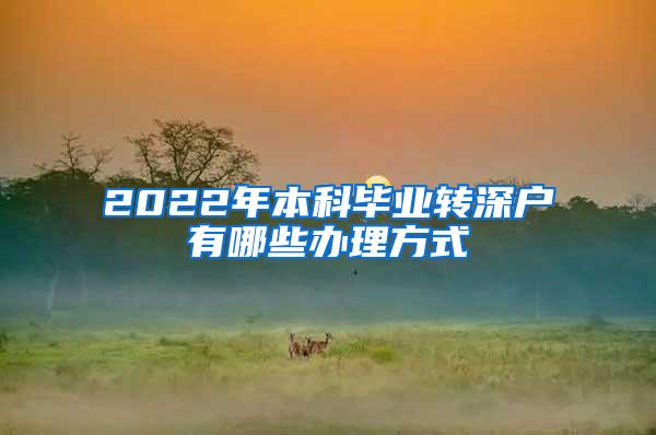 2022年本科毕业转深户有哪些办理方式