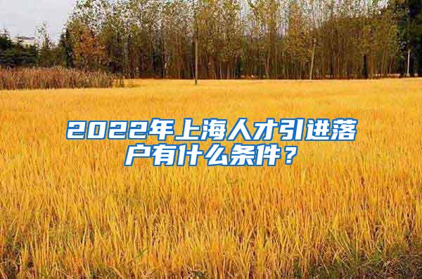 2022年上海人才引进落户有什么条件？