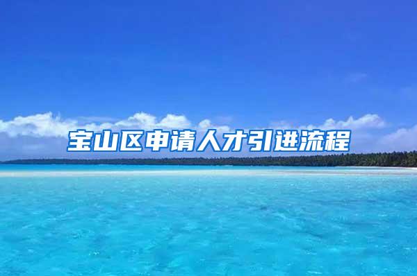 宝山区申请人才引进流程