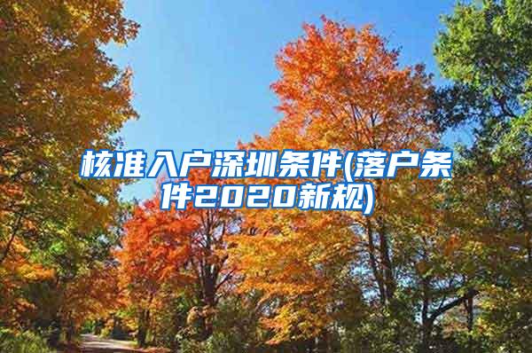 核准入户深圳条件(落户条件2020新规)