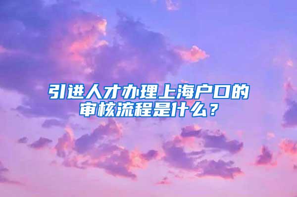 引进人才办理上海户口的审核流程是什么？