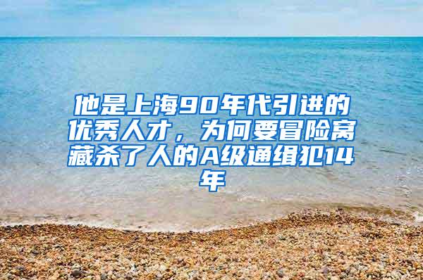 他是上海90年代引进的优秀人才，为何要冒险窝藏杀了人的A级通缉犯14年