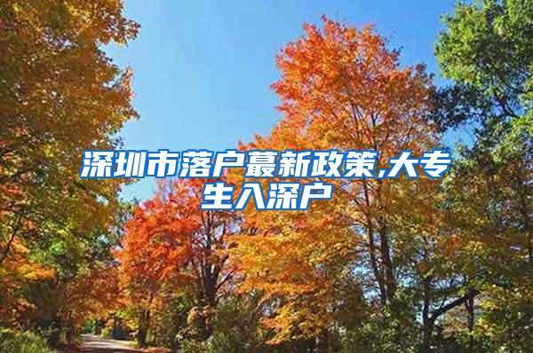 深圳市落户蕞新政策,大专生入深户