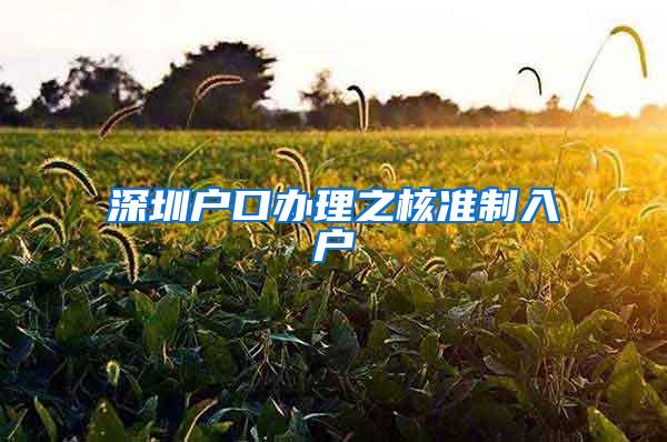 深圳户口办理之核准制入户