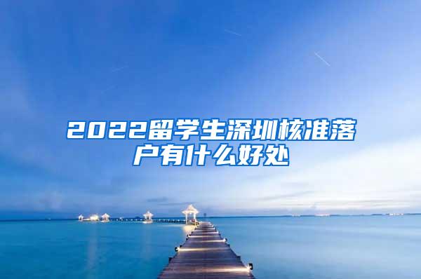 2022留学生深圳核准落户有什么好处