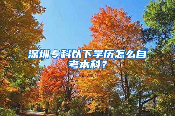 深圳专科以下学历怎么自考本科？