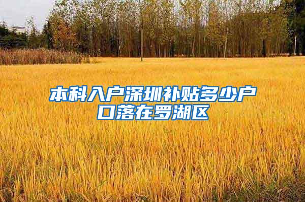 本科入户深圳补贴多少户口落在罗湖区