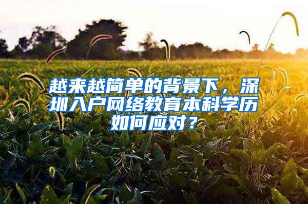 越来越简单的背景下，深圳入户网络教育本科学历如何应对？