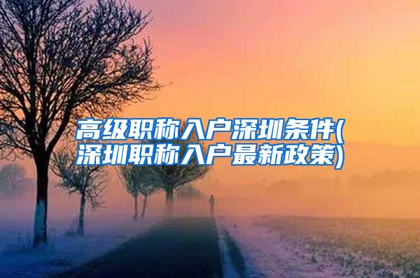 高级职称入户深圳条件(深圳职称入户最新政策)