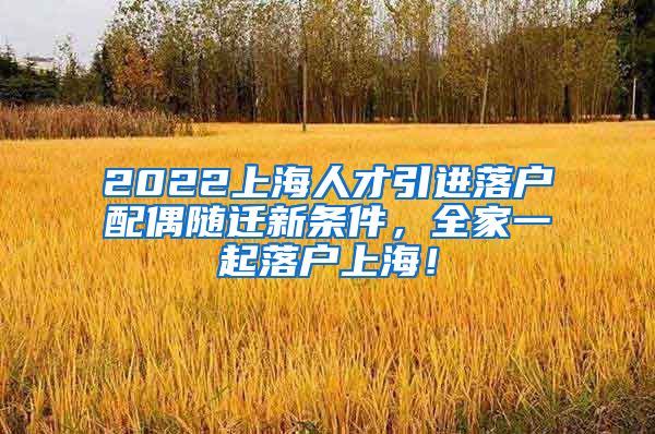 2022上海人才引进落户配偶随迁新条件，全家一起落户上海！