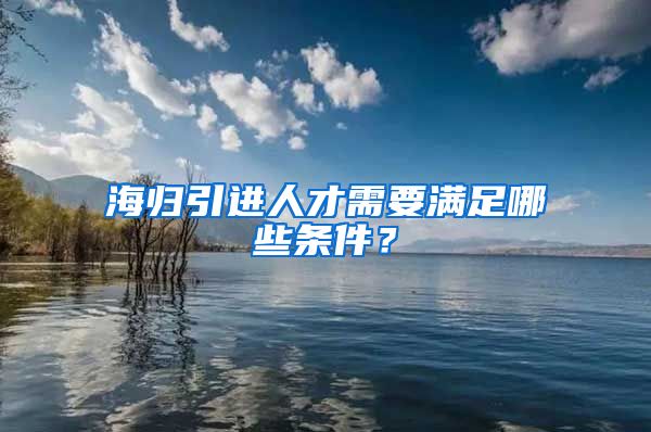 海归引进人才需要满足哪些条件？