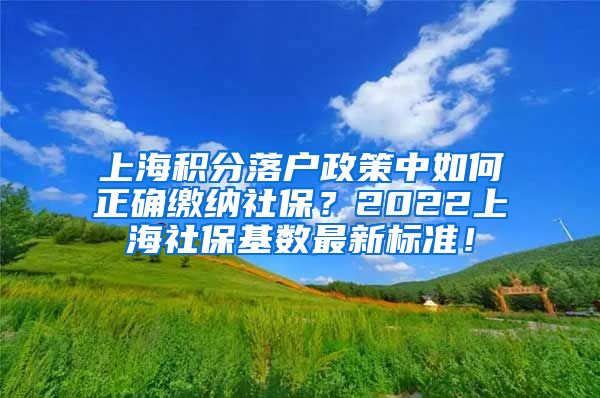 上海积分落户政策中如何正确缴纳社保？2022上海社保基数最新标准！