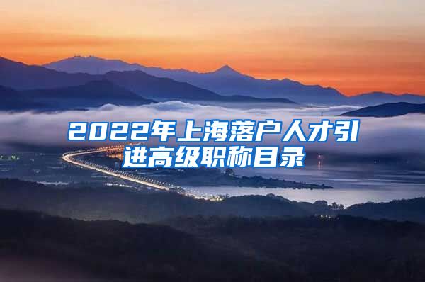 2022年上海落户人才引进高级职称目录