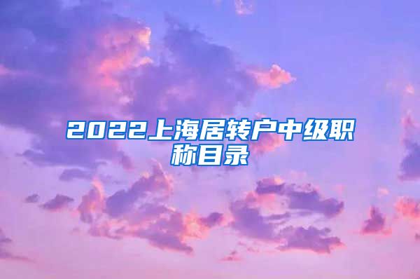 2022上海居转户中级职称目录