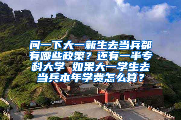 问一下大一新生去当兵都有哪些政策？还有一半专科大学 如果大一学生去当兵本年学费怎么算？