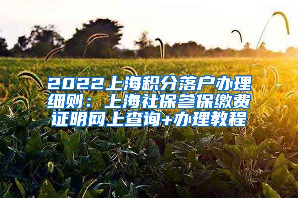 2022上海积分落户办理细则：上海社保参保缴费证明网上查询+办理教程