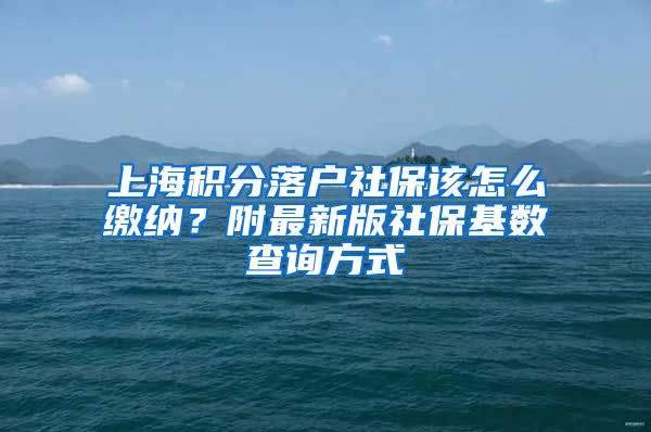 上海积分落户社保该怎么缴纳？附最新版社保基数查询方式