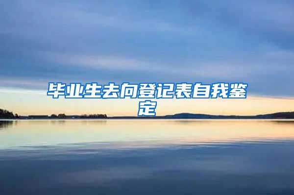 毕业生去向登记表自我鉴定