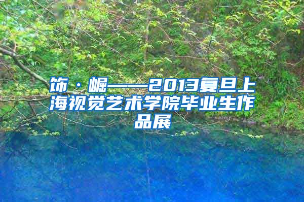 饰·崛——2013复旦上海视觉艺术学院毕业生作品展
