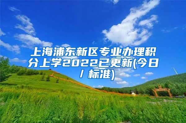 上海浦东新区专业办理积分上学2022已更新(今日／标准)