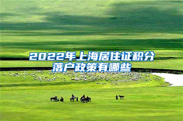 2022年上海居住证积分落户政策有哪些