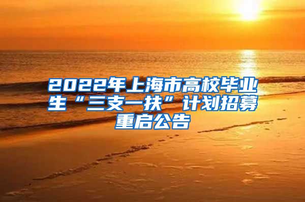 2022年上海市高校毕业生“三支一扶”计划招募重启公告