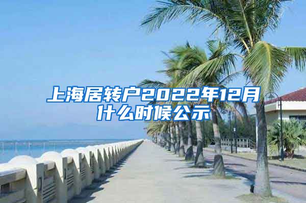 上海居转户2022年12月什么时候公示