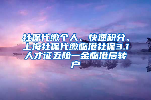 社保代缴个人、快速积分、上海社保代缴临港社保3.1人才证五险一金临港居转户